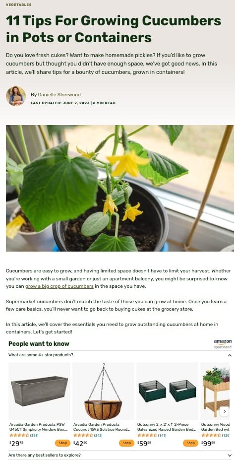 Raptive 中的亚马逊广告位