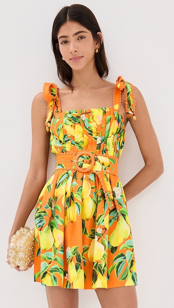 FARM RioOrange Chic Pears Mini Dress