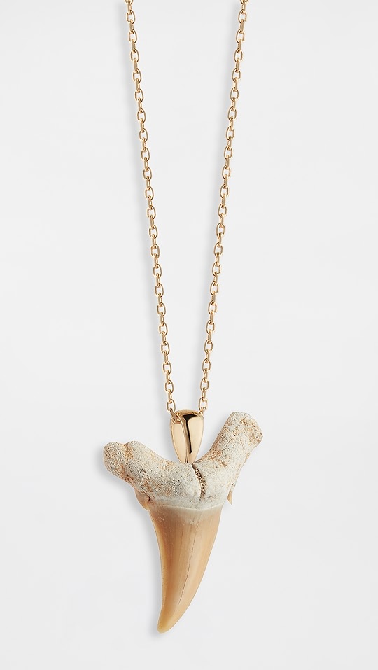 14k 金鲨鱼齿项链