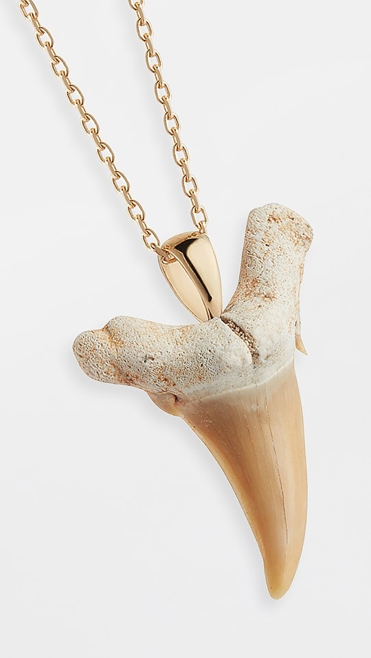 mateo 14k 金鲨鱼齿项链 | shopbop
