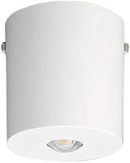 亚马逊日本 吸顶灯 灯具照明 家居装修 Amazon Cn