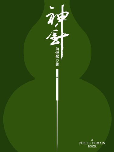 《神针》 向恺然 书评 简介 电子书下载 kindle电子书