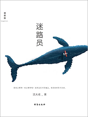 迷路员 讲述十五个失去导航的 宇宙人 故事理想国出品 沈大成书评简介电子书下载kindle电子书