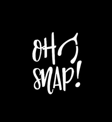 snap wishbone 趣味 nok 贴花乙烯基贴纸|汽车卡车货车墙壁笔记本电脑