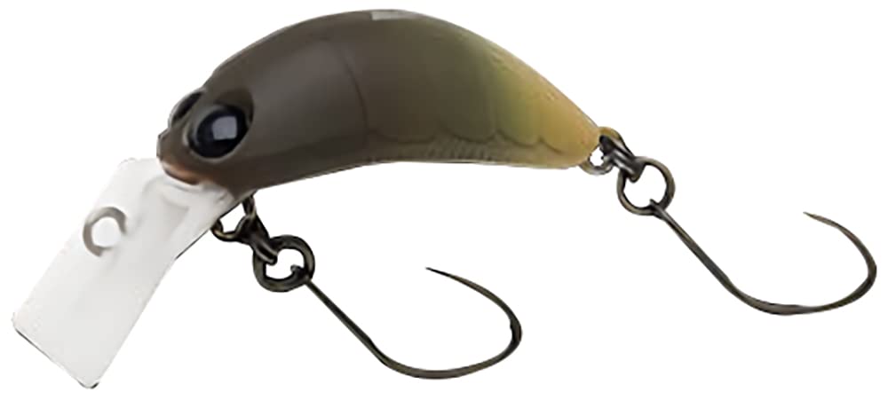 NORIES Rice 30 314 Dark Brown