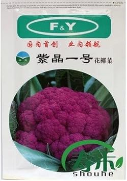 寿禾特菜种子紫晶一号紫花椰菜种子菜花花菜紫色花椰菜优质原装 1000粒 寿禾 价格报价图片 亚马逊中国