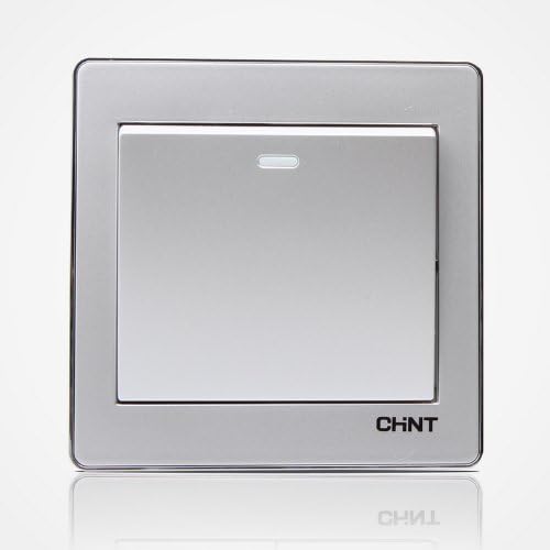 chint 正泰 new6d太空银色 一开单控开关