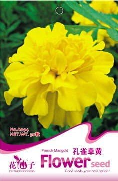 花卉种子香草种子密花黄孔雀草种子阳台花园种植约50粒 寿禾 价格报价图片 亚马逊中国
