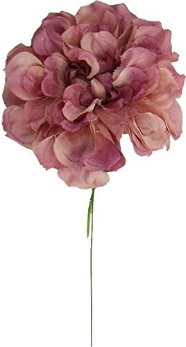 Asca 人造花大洲piec A 苔藓 亚马逊中国 家居