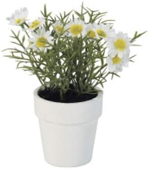 Asca 人造花分割壶a 001 アスカ Asca 价格报价图片 Asca 人造花分割壶a 001 アスカ Asca 价格报价图片