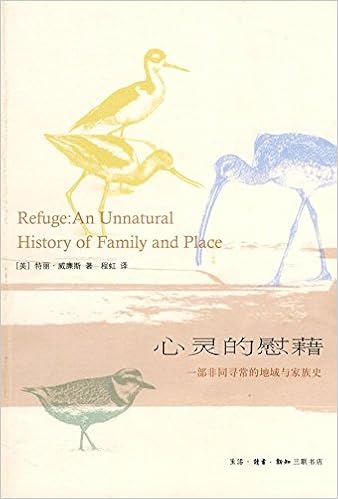 心灵的慰藉 一部非同寻常的地域与家族史 摘要书评试读 图书