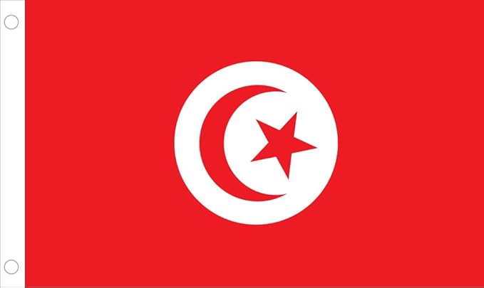 allied flag 户外尼龙突尼斯国旗,2 英尺乘 3 英尺