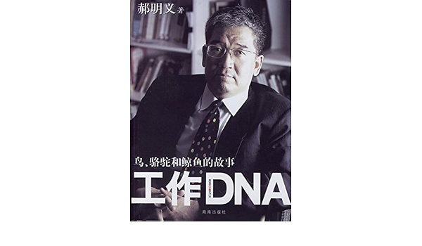 亚马逊
