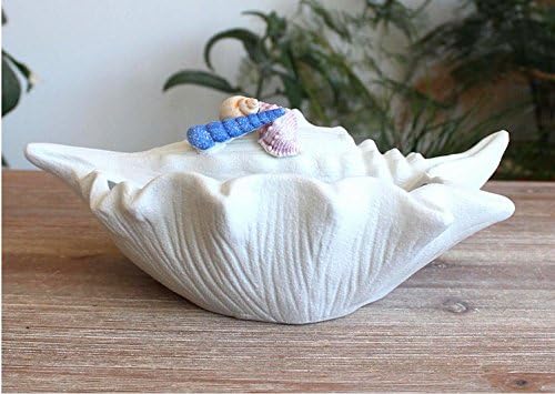 手工陶瓷粘土家居/花园精致白色贝壳设计花盆带排水孔