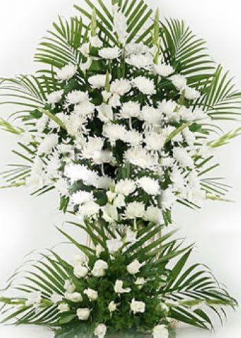 花联一路走好花圈祭祀鲜花花篮 塘沽鲜花 汉沽鲜花全国城市同城配送 5星好评 联系客服 立返现金10元 再次订购返现还送礼 花联追悼奠仪 价格报价图片 花联一路走好花圈祭祀鲜花花篮 塘沽鲜花 汉沽鲜花全国城市同城配送 5星好评 联系客服 立返现金10元 再次订购返现还送礼 花联追悼奠仪 价格报价图片