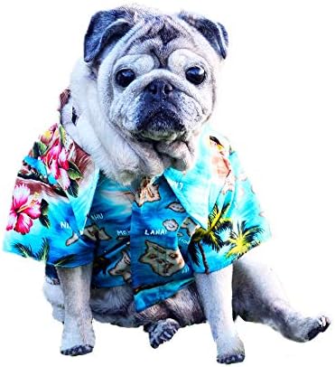 Robert J Clancey Rjc 狗狗热带岛屿逃生夏威夷衬衫蓝 S 码 亚马逊中国 宠物用品