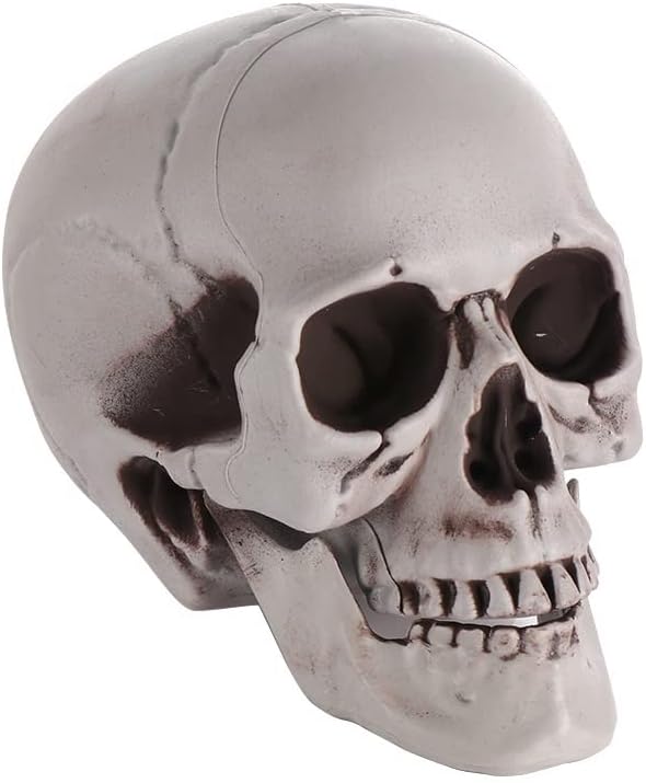 uniques addict store 人类骷髅头骷髅头悬挂骷髅万圣节风格照片道具