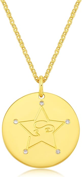 amireux 12 星座项链 - 星座硬币 - 吊坠项链-双面镀金方晶锆石生日