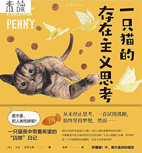 一只猫的存在主义思考 一只猫的存在主义思考