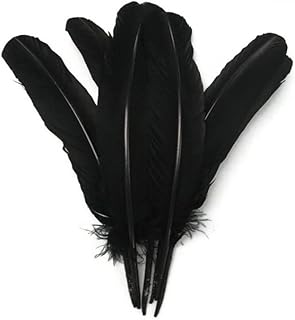 1/4 磅 - 黑色火鸡汤姆圆形辅助翼毛批发羽毛(散装)万圣节婚礼工艺