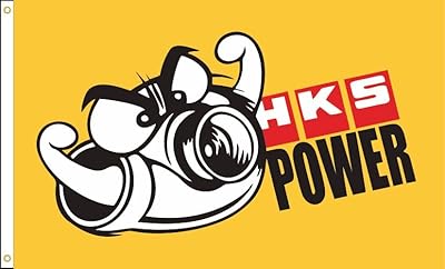 power 旗帜 3x5 英尺聚酯印花赛车横幅用于装饰(双面印刷,明亮而充满