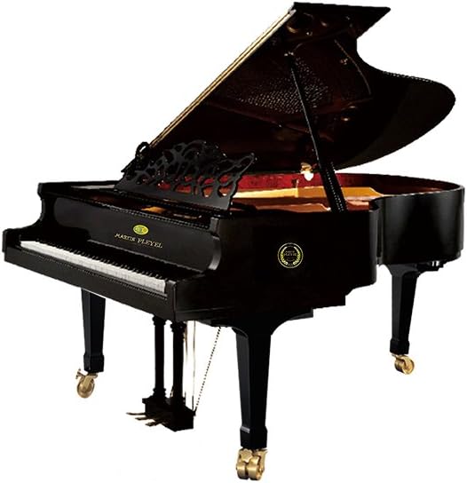 卡米尔普莱耶尔 法国品牌 全新三角钢琴 pm-186 : 亚马逊中国: 乐器