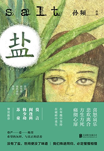 盐(莫言阎连科韩少功苏童范小青力荐作品) (孙频痛感三部曲 2) kindle