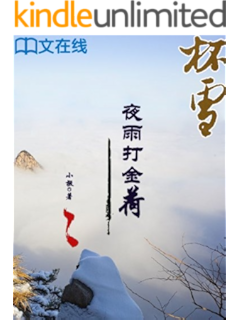 杯雪 小椴书评简介电子书下载kindle电子书