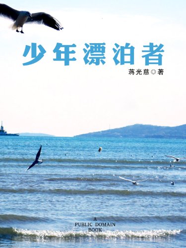少年漂泊者 kindle电子书