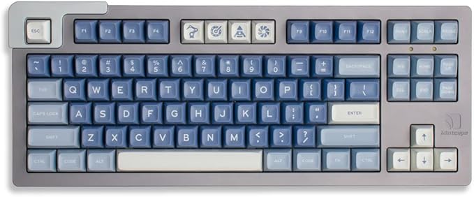 键帽 170 键双射 sa 配置文件蓝色钓鱼 ansi&amp;iso 布局 6.