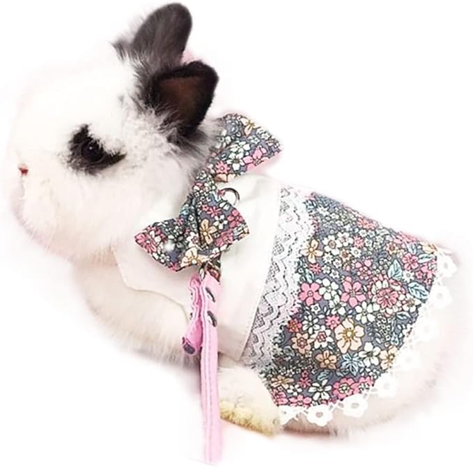 公主连衣裙小动物衣服小狗背心散步适合矮小小猫雪貂豚鼠迷你狗(中号)