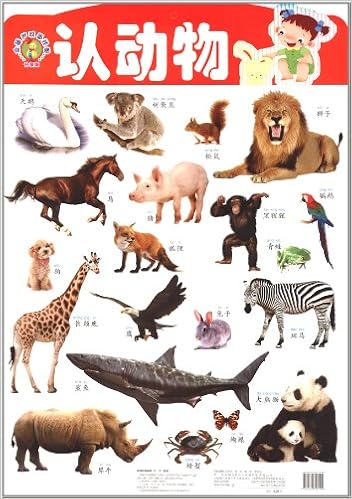 《金葫芦双面挂图:认动物(升级版)》 【摘要 书评 试读】图书
