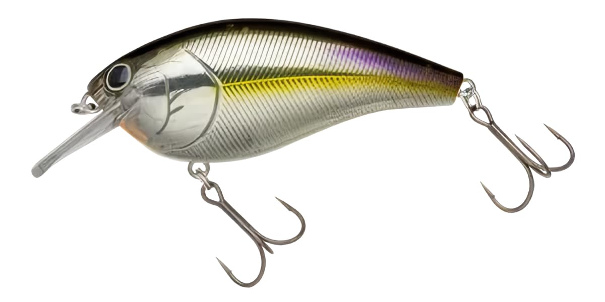 NOLIES Short Storm TDM Ringing