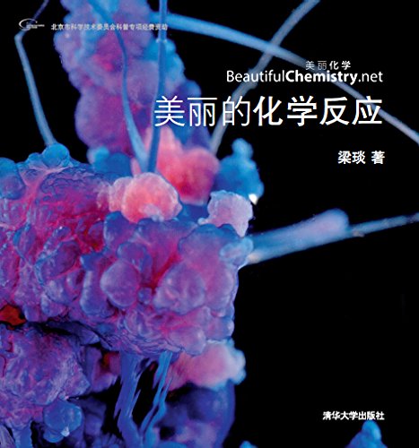 美丽的化学反应 (美丽化学) kindle电子书
