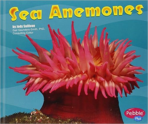 《sea anemones》 【摘要 书评 试读】图书