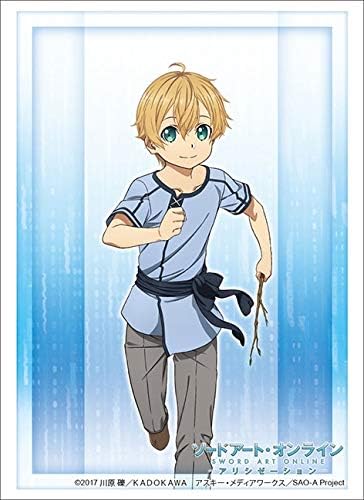 Bushiroad 卡套收藏品高级vol 2637 刀剑神域alicization 幼少期 亚马逊中国 玩具