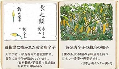 Gion Ajiko Golden Gang 13g 食品 亚马逊中国