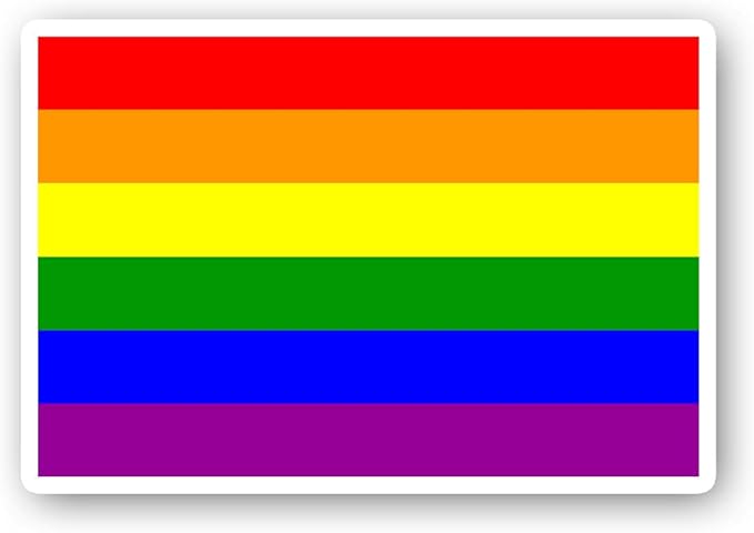 lgbtq 旗帜贴纸 lgbtq 旗帜骄傲贴纸 - 笔记本电脑贴纸 - 6.