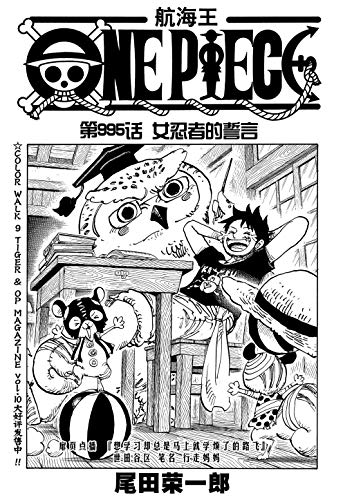 航海王 One Piece 海贼王 第995话 女忍者的誓言 Ebook 尾田荣一郎 亚马逊中国 图书