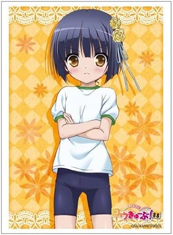 Bushiroad 卡套收藏hg 高级 Vol 613 Royutoe Shoo Ss 竹中椿 亚马逊中国