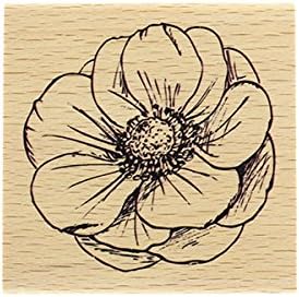 Florileges 轮廓花印章 木质7 X 7 X 2 5 厘米 亚马逊中国 玩具