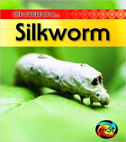 《life cycle of a silkworm》 【摘要 书评 试读】图书