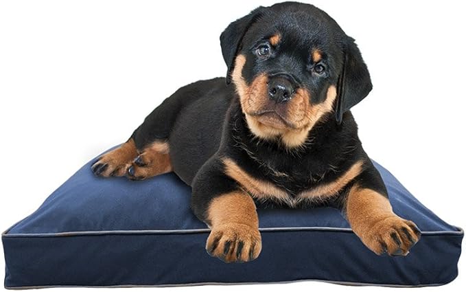 doggibo mini 藏青色 dgb-s-bl