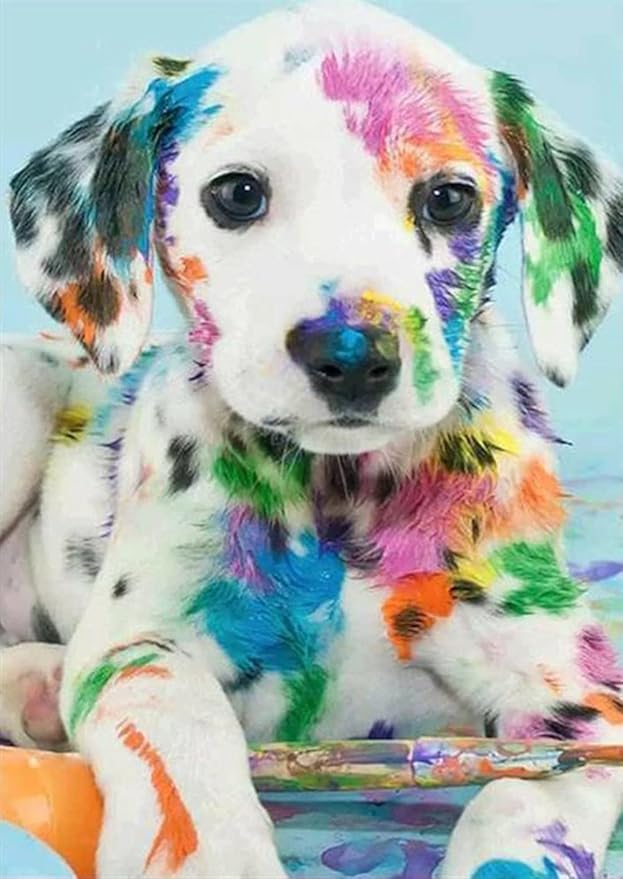 diy 5d 全钻圆形水钻,钻石绘画图片艺术工艺家居装饰(彩色狗)