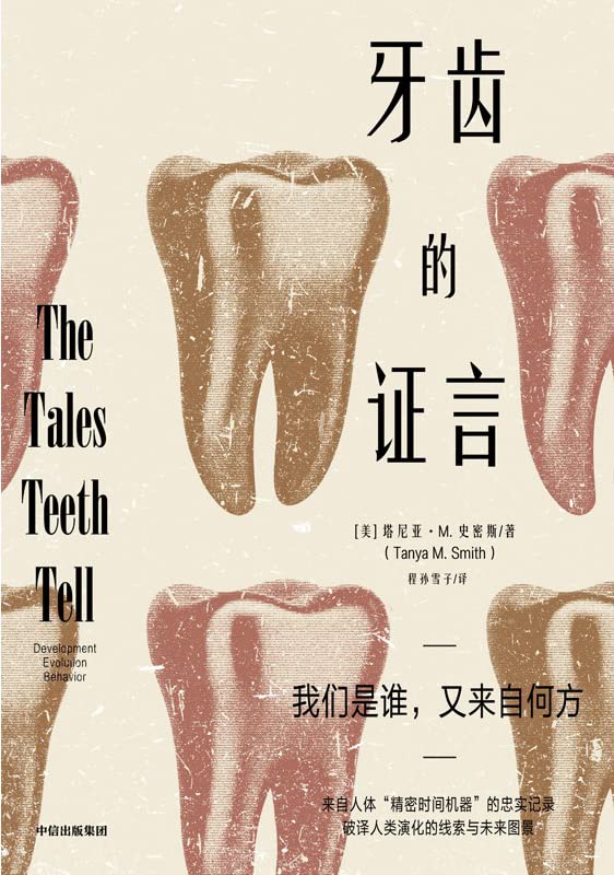 牙齿的证言 牙齿的证言