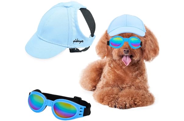 亚马逊销售排行榜 狗帽子中最受欢迎的商品