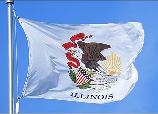 allied flag - 5 x 8 户外尼龙伊利诺伊州旗 - 美国制造 - 色彩鲜艳