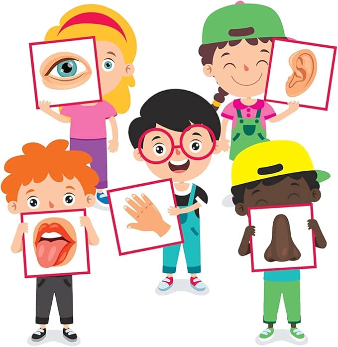 stikart 5 five senses 墙壁贴花视觉气味触屏(1 英尺 x 2 英尺)