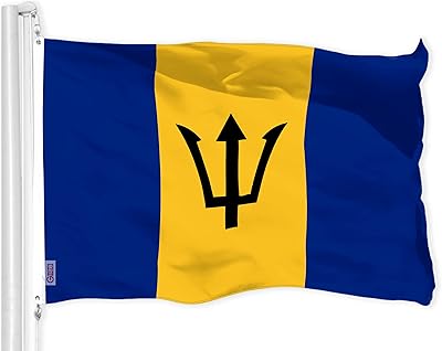 g128 关岛关岛国旗 | 3x5 英尺 | liteweave pro 系列印花 150d 涤纶