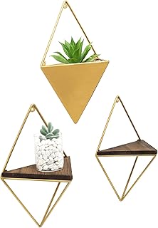 花盆 花架 育苗盘 Mygift 花盆 花架 育苗盘 园艺设施 家居装修 Amazon Cn